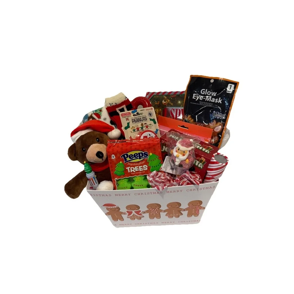 Kids Christmas Gift Basket Teddy Bear Blanket Crafts Candy Toy Holiday Present